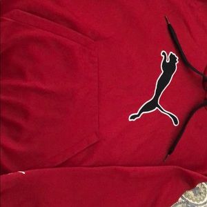 Puma Pullover Hoodie